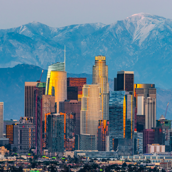 The Los Angeles skyline